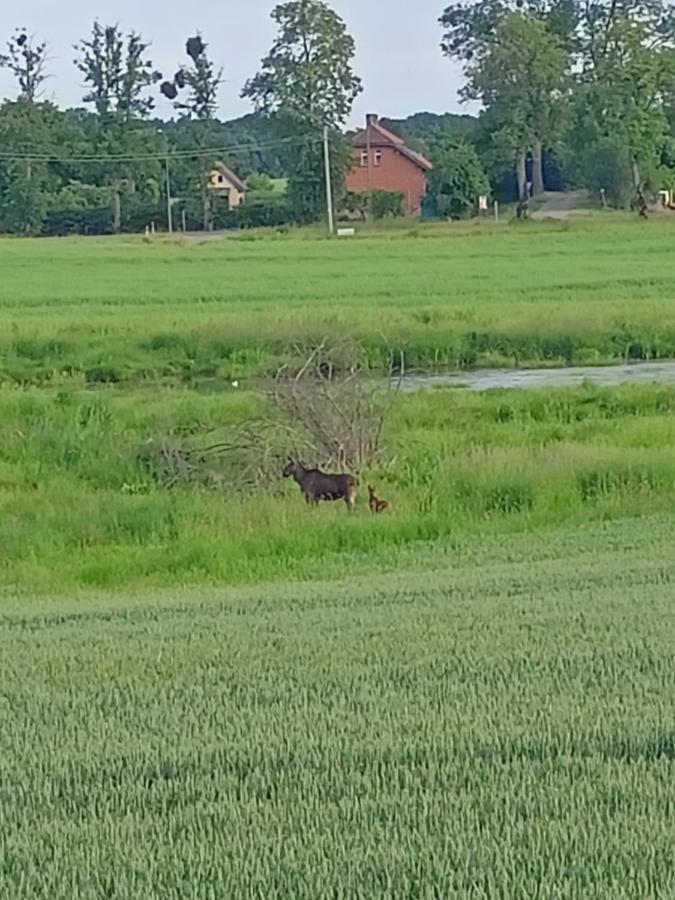 Swierkowe Siedlisko Węgorzewo Kültér fotó